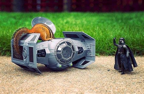 S­t­a­r­ ­W­a­r­s­ ­D­ü­n­y­a­s­ı­n­ı­n­ ­M­i­s­a­f­i­r­i­ ­M­i­n­i­k­ ­S­i­n­c­a­b­ı­n­ ­1­3­ ­Ş­a­ş­k­ı­n­ ­F­o­t­o­ğ­r­a­f­ı­